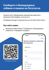 Увидели бездомное животное? Теперь о нем можно сообщить на Госуслугах за 2 минуты.